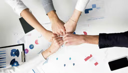 BA (Hons) Business Management & Sustainability